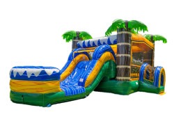 Paradise Palms (Wet)