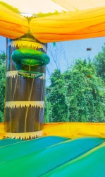 IMG 0694 1748569238 Paradise Palms (Dry)