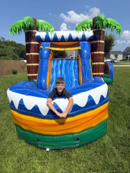 IMG 1042 1765554032 Paradise Palms (Dry)