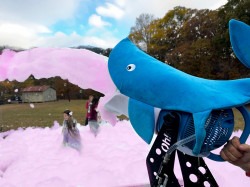 Pink Foam Party Experience