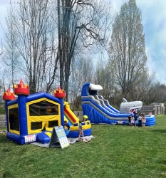 Shark Attack IMG 6849 edit202 1745521829 Shark Attack