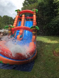 IMG 7127 1724267228 Tropical Plunge