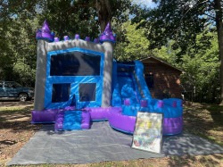 unnamed201120copy 1726280147 Purple Castle